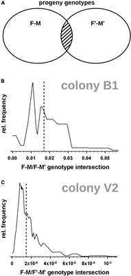 The Mating Pattern of Captive Naked Mole-Rats Is Best Described by a Monogamy Model